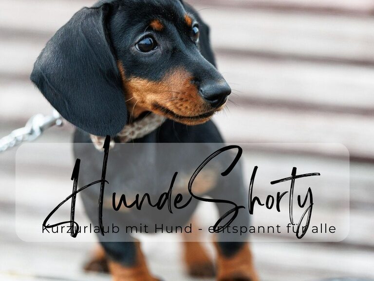 HundeShorty